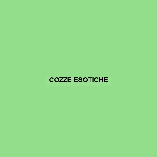 Cozze Esotiche