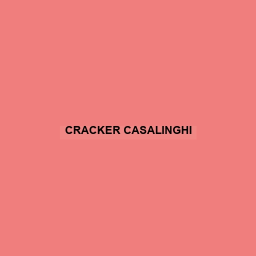 Cracker Casalinghi