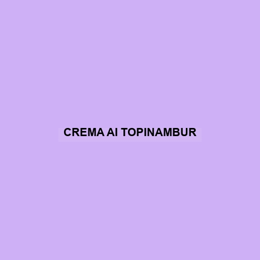 Crema Ai Topinambur