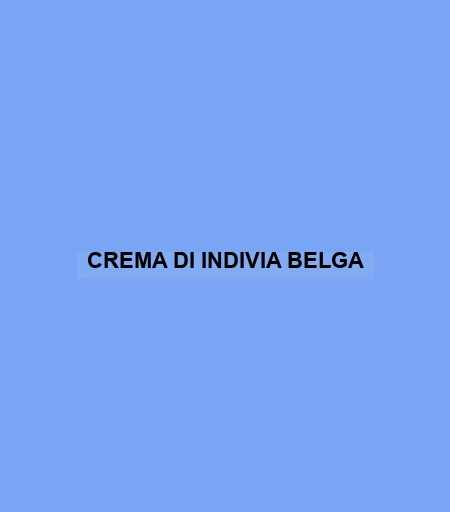 Crema Di Indivia Belga