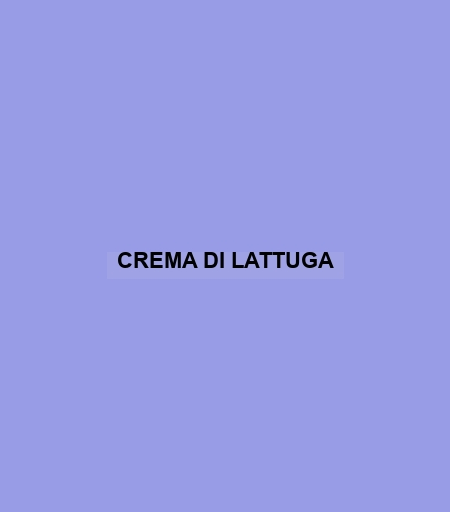 Crema Di Lattuga