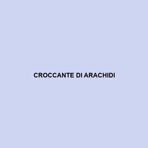 Croccante Di Arachidi