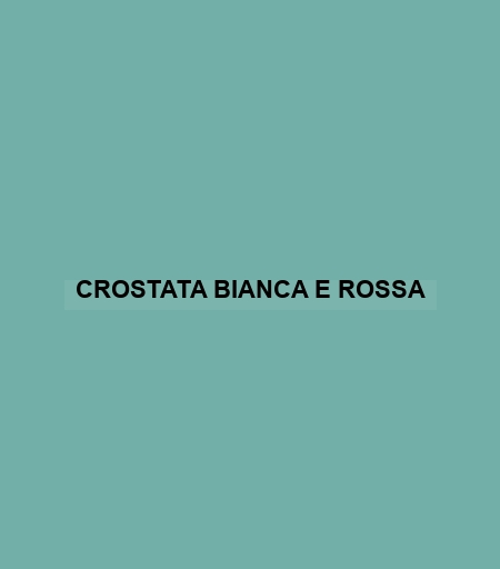 Crostata Bianca E Rossa