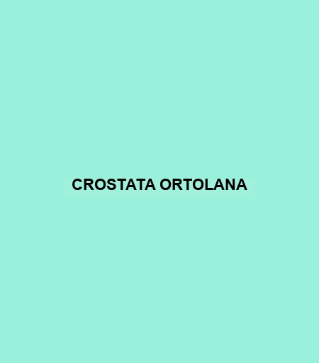 Crostata Ortolana