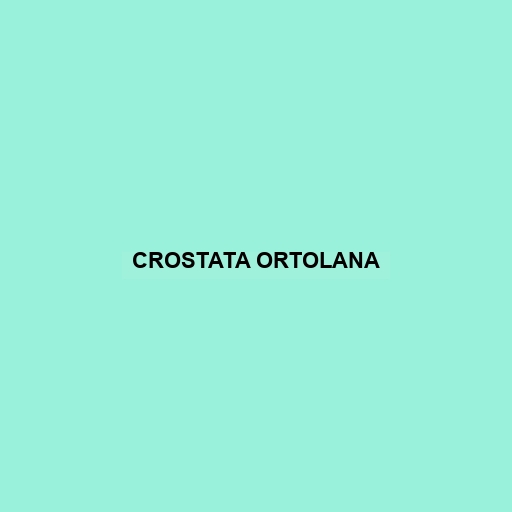 Crostata Ortolana