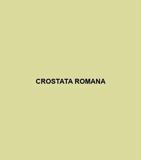 Crostata Romana