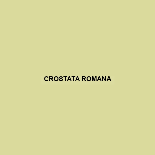 Crostata Romana