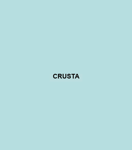 Crusta