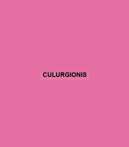 Culurgionis