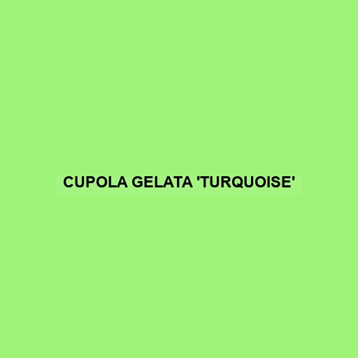 Cupola Gelata 'turquoise'