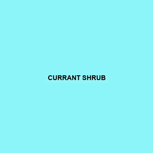 Currant Shrub