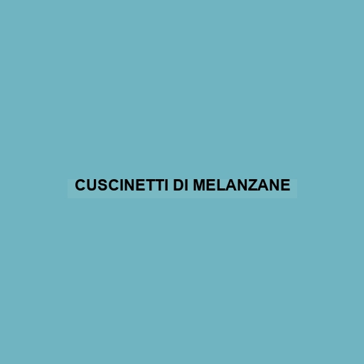 Cuscinetti Di Melanzane