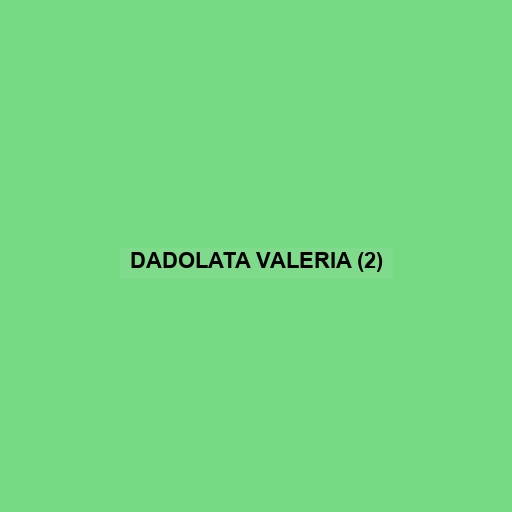 Dadolata Valeria (2)