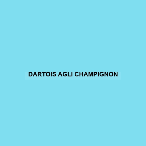 Dartois Agli Champignon