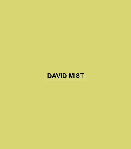 David Mist