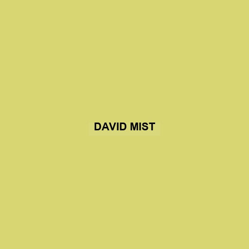 David Mist