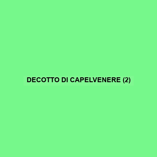 Decotto Di Capelvenere (2)