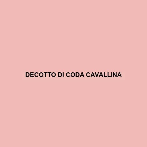 Decotto Di Coda Cavallina