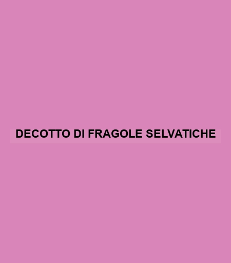 Decotto Di Fragole Selvatiche