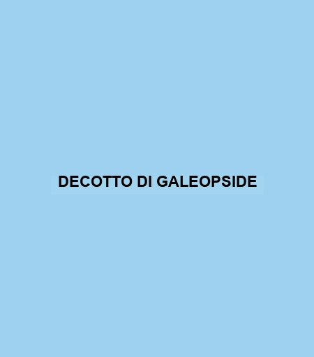 Decotto Di Galeopside