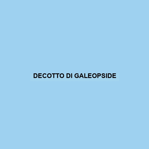 Decotto Di Galeopside