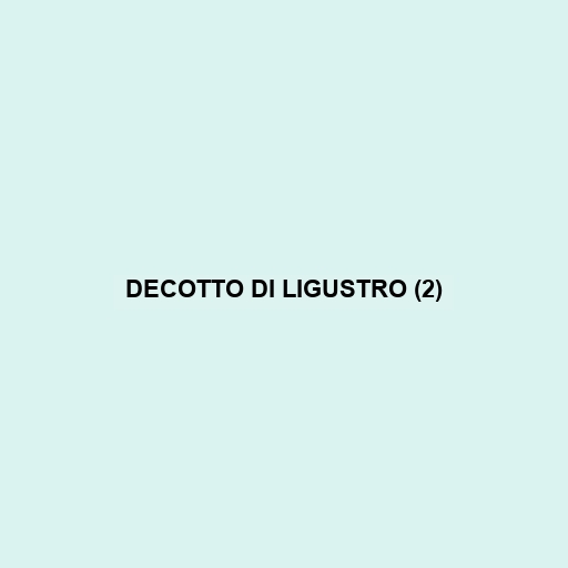 Decotto Di Ligustro (2)