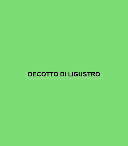 Decotto Di Ligustro