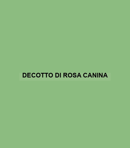 Decotto Di Rosa Canina