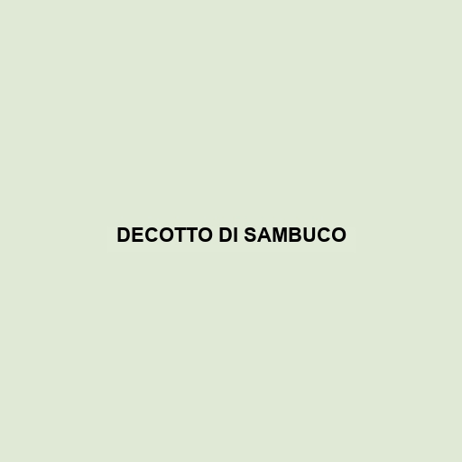 Decotto Di Sambuco