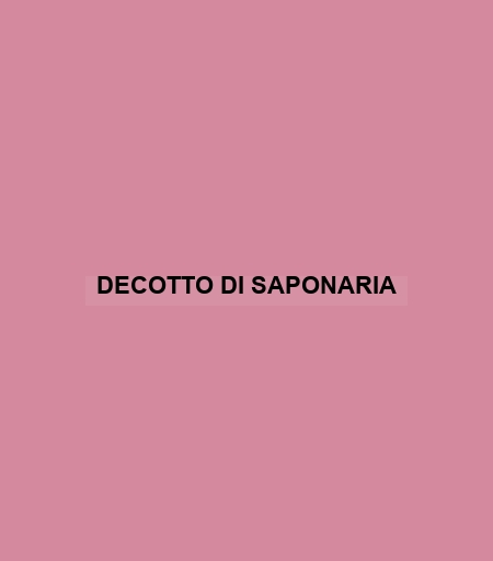 Decotto Di Saponaria