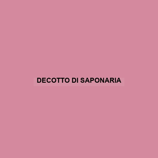 Decotto Di Saponaria