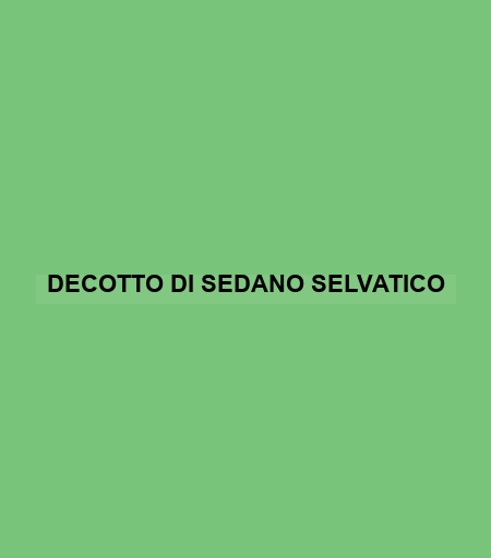 Decotto Di Sedano Selvatico