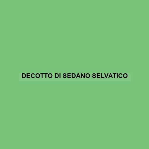 Decotto Di Sedano Selvatico