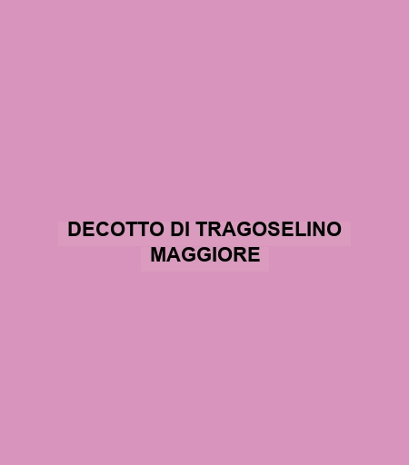 Decotto Di Tragoselino Maggiore