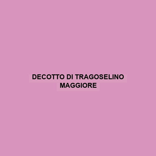 Decotto Di Tragoselino Maggiore